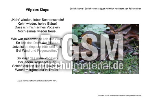 Vögleins-Klage-Fallersleben.pdf